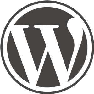 wordpress optimization