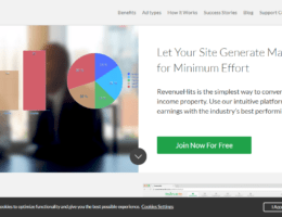 revenuehits review
