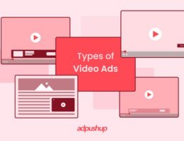 types of video ads